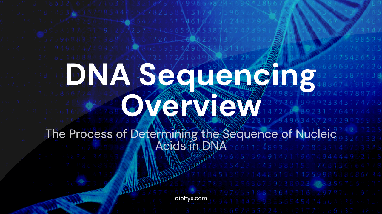 DNA Sequencing Overview