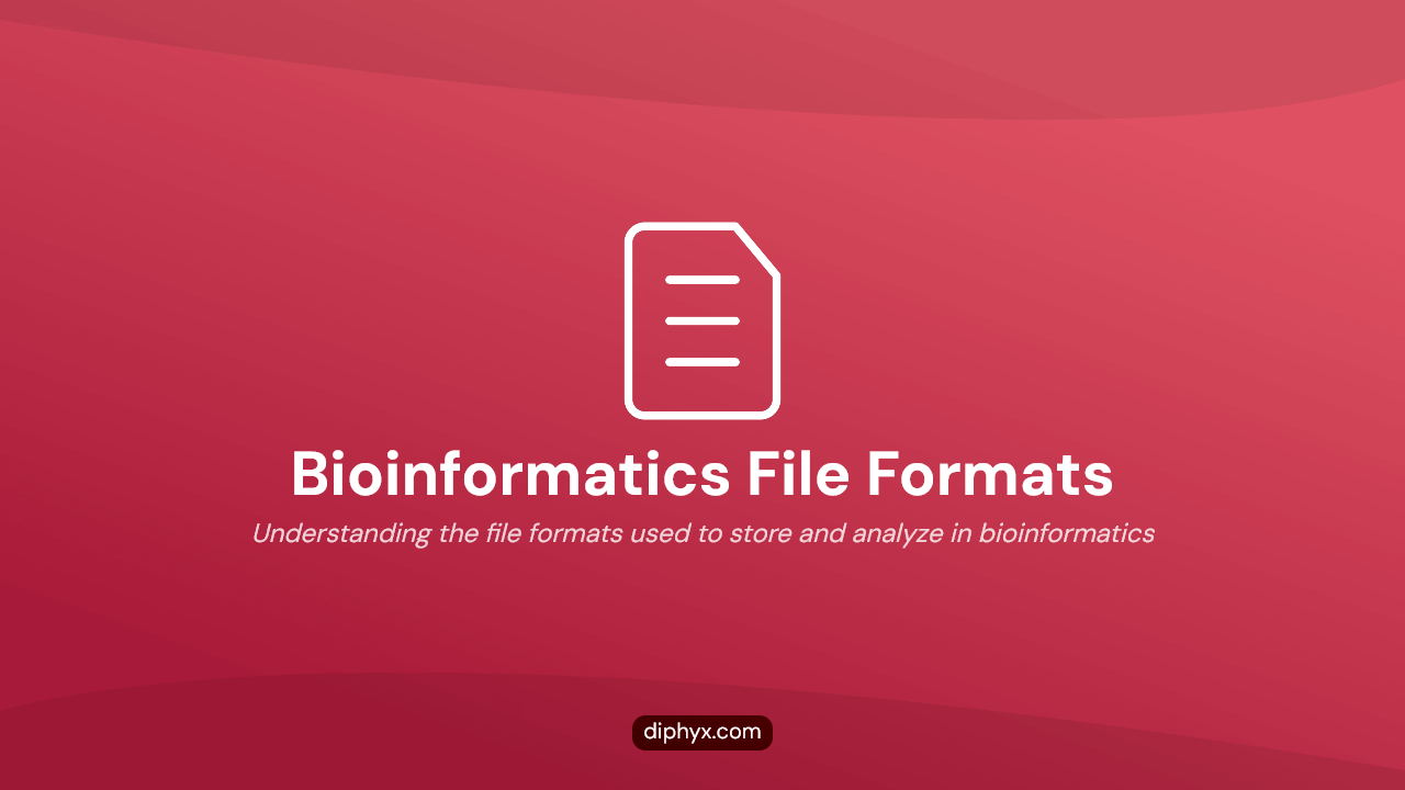 Bioinformatics File Formats